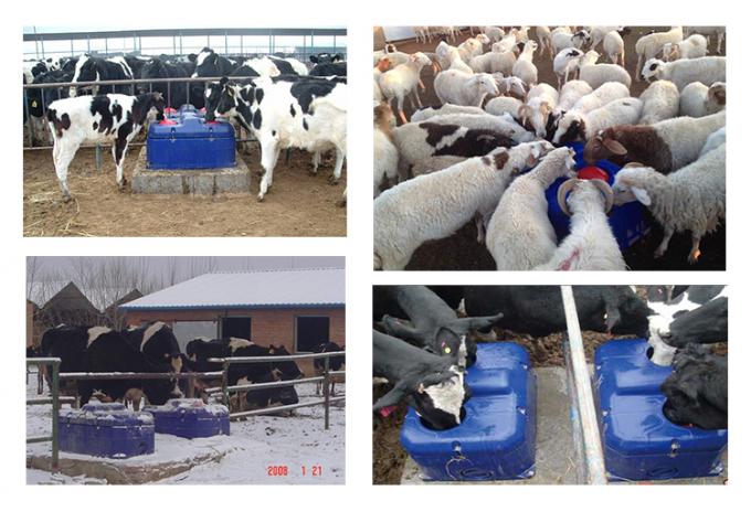 Frost 자유로운/열 자동 식용수 그릇/암소 가축 양 산양 antifrost 술꾼 여물통 가축 농장 장비