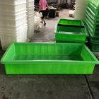 녹색 Aquaponic는 Greenhousr Aquaponic 체계를 뜻을 가진 침대를 성장합니다